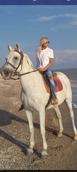  ,   Lusena, 46 ,   ,   