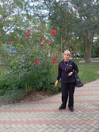  --,   , 55 ,   