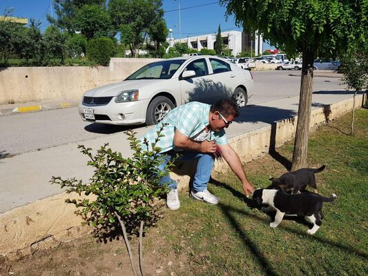  Hannoversch Munden,   , 60 ,   ,   , c 