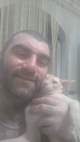  ,   ARMAN, 46 ,   ,   , c 