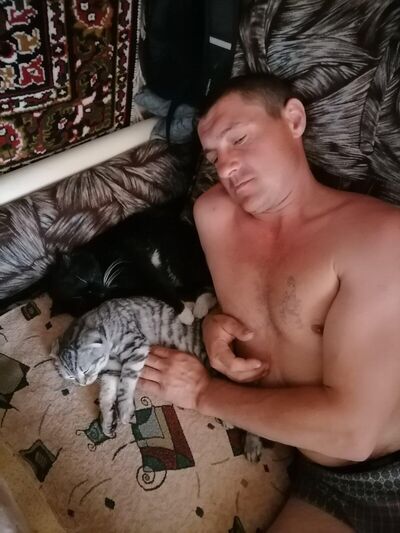  ,    , 44 ,   ,   , 