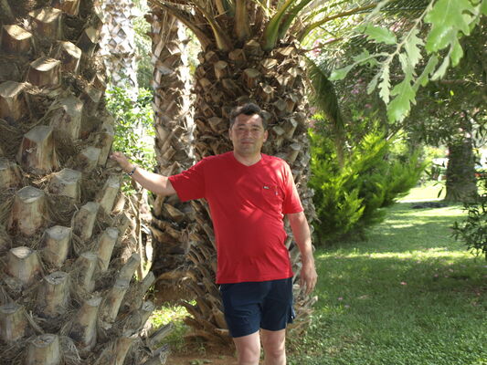  ,   , 55 ,   ,   , c 