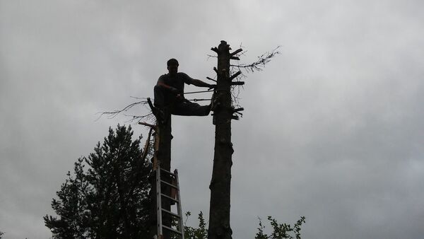  -,   , 42 ,   ,   , c 