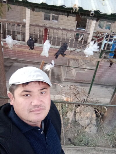  ,   , 38 ,   ,   