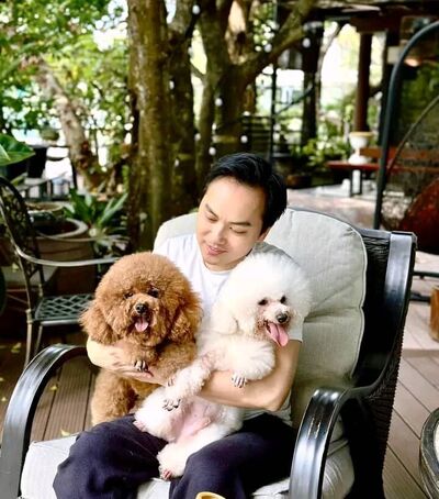  Harcourt,    , 42 ,   ,   