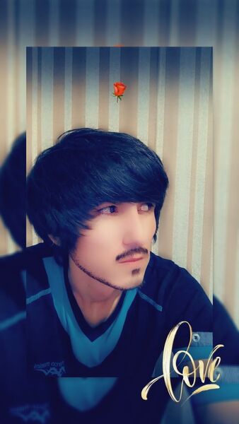  -,   , 29 ,   ,   