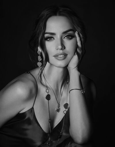 ,   Rozavirt T, 24 ,   ,   