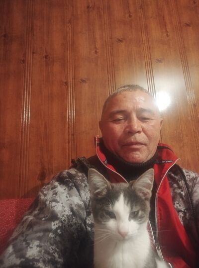 ,   , 54 ,   ,   