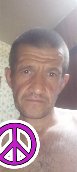  ,   , 46 ,   , 
