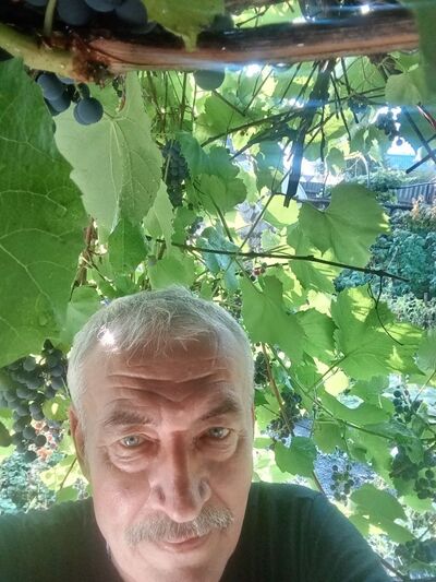  ,   , 58 ,   ,   