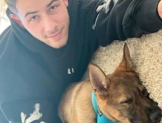  Arnprior,   Nick Jonas, 46 ,   ,   , c 