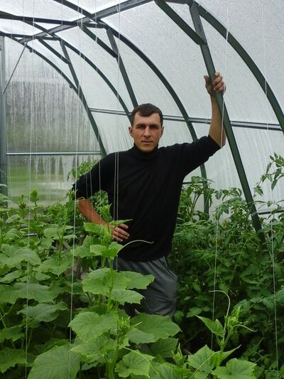  ,   , 41 ,   ,   , c 