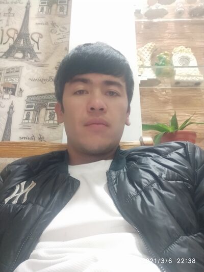  -,   Asil, 33 ,   ,   