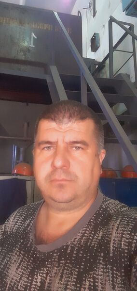  ,   , 44 ,     , 