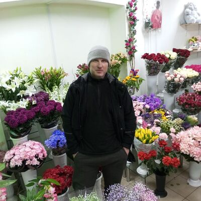  -,   , 41 ,   c 