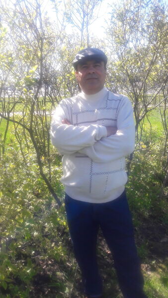  -,   , 54 ,   ,   , c 