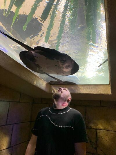  ,   , 26 ,   ,   , c , 