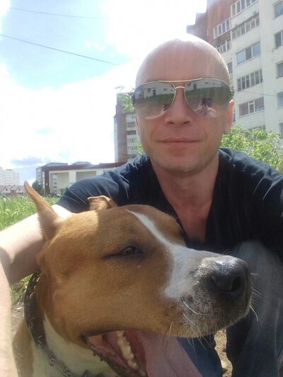  ,   Dinus, 42 ,   
