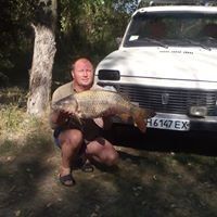  ,   , 58 ,   