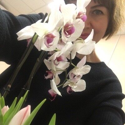  12009873  , 48 ,    --