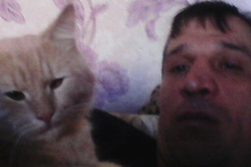  ,   , 42 ,   , 