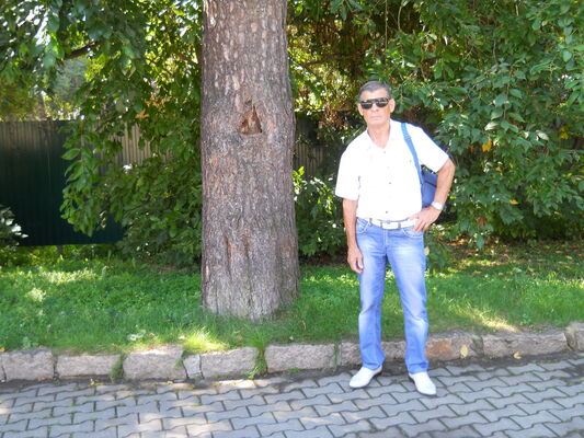  ,   , 65 ,   
