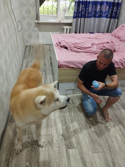  --,   , 45 ,   ,   , c 