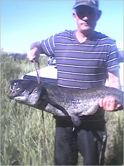  ,   , 55 ,     , c 