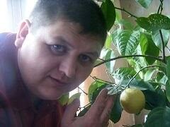  ,   , 56 ,   ,   , c 