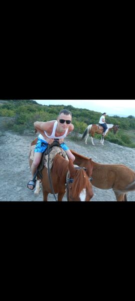  -,   Dmitry, 37 ,   ,   , c 