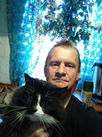  ,   , 53 ,   c 