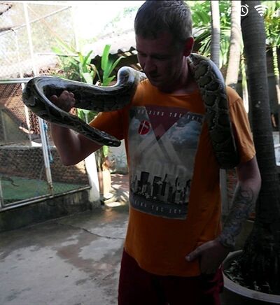  -,   , 46 ,   ,   , c 