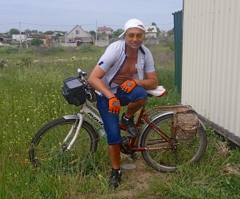  ,   , 55 ,  