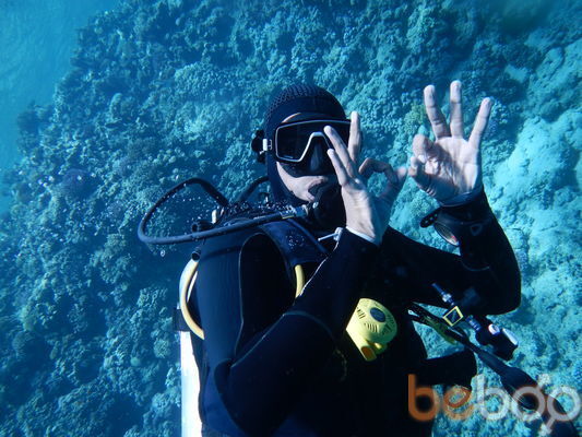 ���������� ����, ���� ������� �����, 44 ����, ������������ ��� ����� � ���������, c�������� ���������