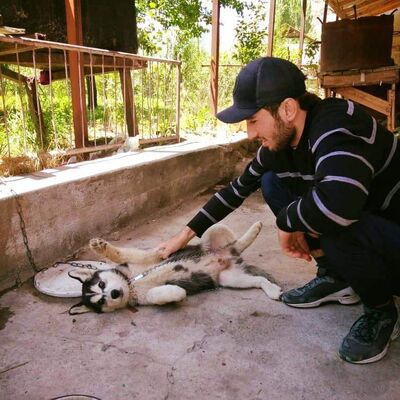  Adiyaman,   , 28 ,   ,   