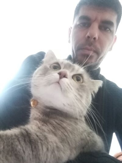  ,   , 36 ,   ,   