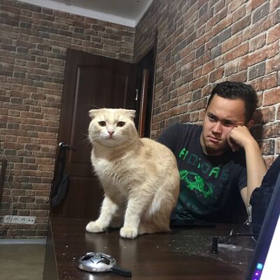  ,   , 25 ,   ,   , c , 