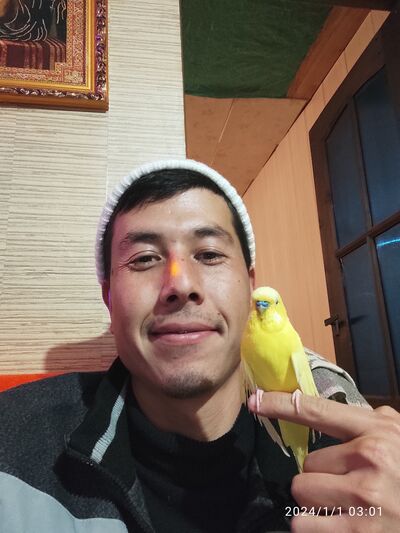 --,   , 28 ,   ,   