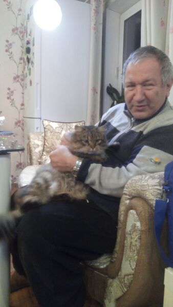  ,   , 67 ,  