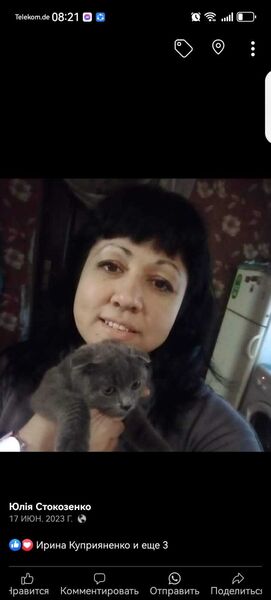  Lauingen,   , 40 ,   ,   
