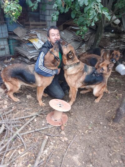  ,   , 53 ,   ,   , c , 