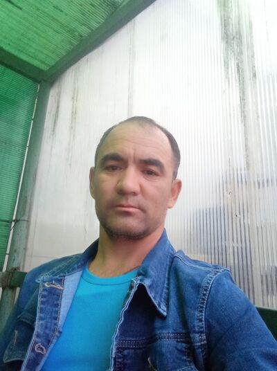  ,   Rystem, 25 ,   ,   