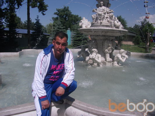  3458963  Tulisin, 50 ,    