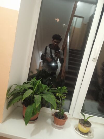  ,   Samuel, 20 ,   ,   