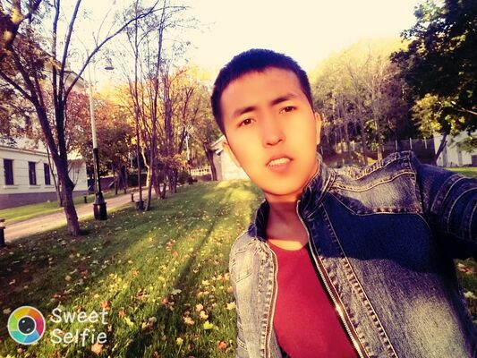  -,   Roma, 29 ,   ,   , c 