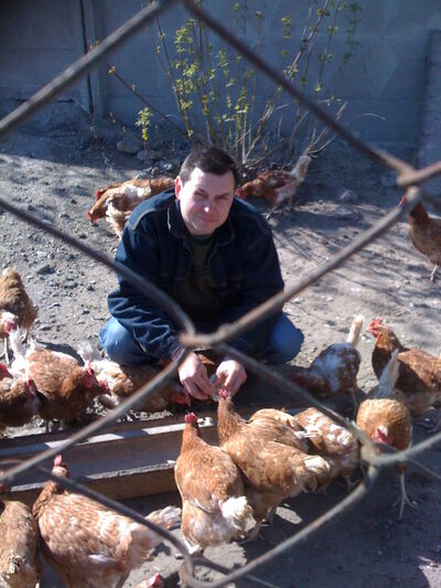  ,   , 61 ,   ,   , c 