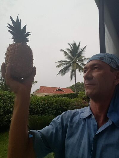  ,   , 50 ,   c 