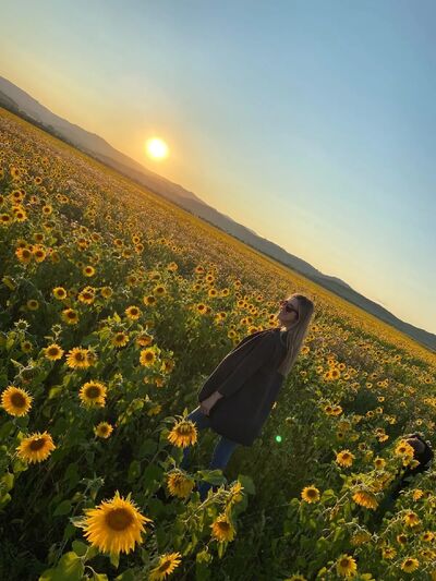  ,   , 38 ,     , c , 