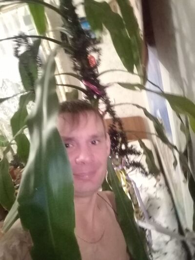  ,   , 36 ,   ,   , 