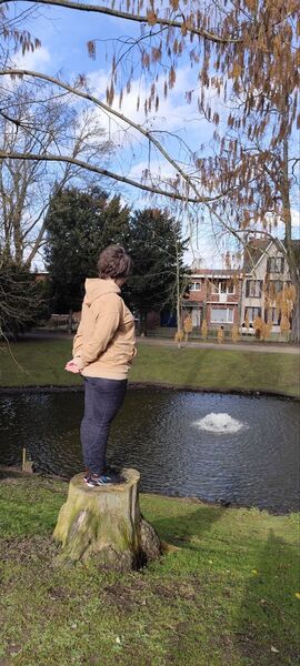  Sint-Truiden,   , 27 ,   c , 